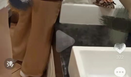 撒尿视频,揭秘撒尿视频背后的文化现象